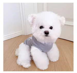 Grey summer pet vest for small dogs, breathable knitted dog apparel close-up view detail.
