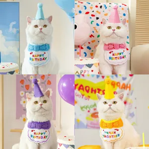 Pet birthday costume detail view, colorful party hat and embroidered bib set for cats.