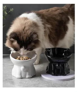 Détail en gros plan d'une gamelle pour chat surélevée en céramique avec joli design.
