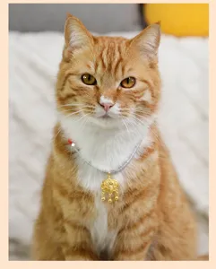 Close-up of handmade woven pet collar featuring golden Chinese longevity lock for pets.