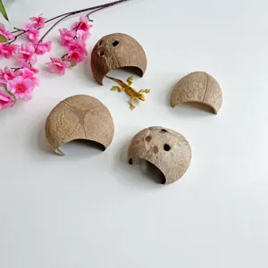 Guscio di noce di cocco naturale criceto nascondiglio rettile grotta cuccia per animali