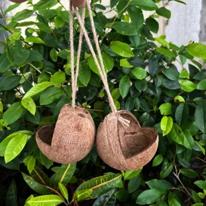 Nido de ave de cascara de coco natural con cuerda de yute colgante para loros pequeños.