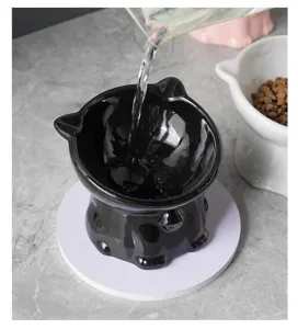 Gros plan detaille d'une gamelle pour chat en ceramique noire avec oreilles et de l'eau versee.