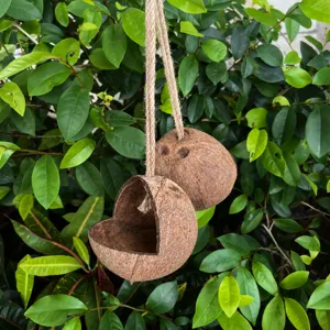 Nido de ave de caparazón de coco natural con cuerda, ideal para loros y mascotas pequeñas.