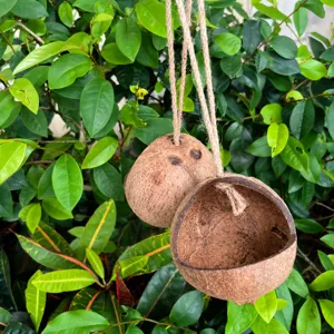 Nido de pájaro de cáscara de coco natural con cuerda de cáñamo para loros y mascotas.