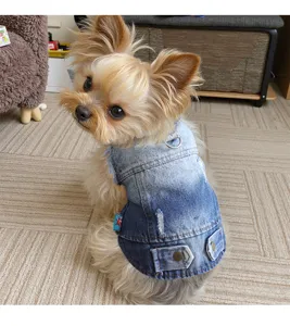 Pet denim vest with traction ring for small dogs, stylish gradient blue puppy jacket coat.