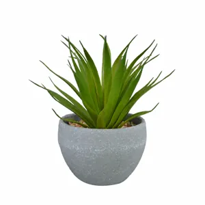 Artificial potted plant indoor small green succulent desk decoration simulation plant main