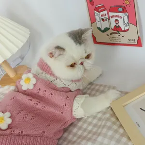 Cute pink knit cat sweater with white lace collar and sweet daisy flowers for autumn season.