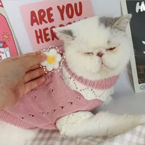 Cute knitted cat sweater detail view, pink pet apparel with flower, comfy pet clothes.