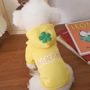 Detail shot of cute pet yellow hooded sweatshirt featuring flower decor and letter print design.