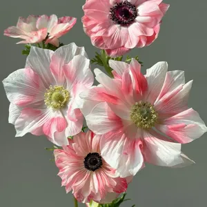 Artificial anemone retro floral bouquet home decoration photography prop table decor