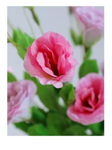 Close-up detail of pink artificial lisianthus flower, vivid petal texture for decor.