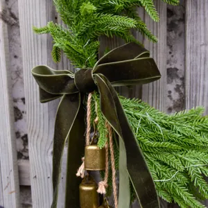Christmas Norfolk pine branch with green velvet bow and rustic hanging bells for decor.
