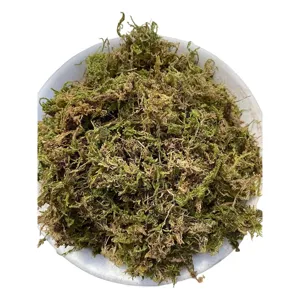 Natural Dried Moss Preserved Sphagnum Moss For Potted Plants Soil Paving Micro Landscape Gardening DIY Craft Terrarium