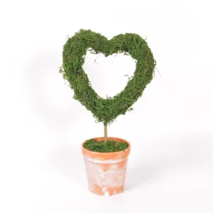 Heart-shaped moss topiary potted plant, retro distressed terracotta pot, desktop decor for Valentine's Day.