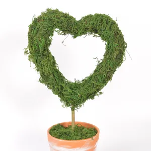 Heart shaped moss topiary potted plant vintage terracotta pot desktop home wedding decor