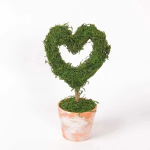 Heart shaped moss tree detail view, rustic terracotta pot desktop decoration plant.