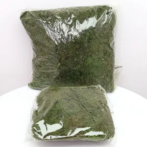 Natural preserved moss for potted plants, micro landscape landscaping, green moss decoration