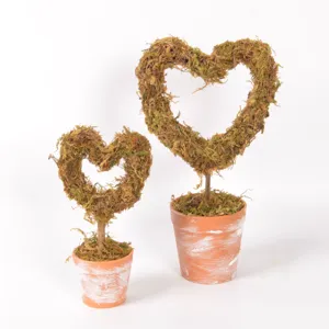 Heart-shaped moss topiary potted plant set, vintage terracotta pot desktop decor.