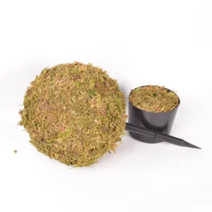 Τεχνητή πράσινη μπάλα βρύου kokedama φυτό σε μαύρη γλάστρα για διακόσμηση εσωτερικού κήπου.