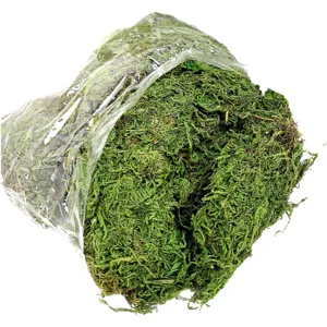Natural preserved green moss for potted plants, terrariums, and micro-landscape landscaping decor.