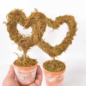 Heart shaped moss topiary potted plant retro distressed desktop decorative ornament display