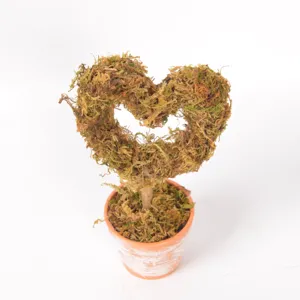Heart-shaped moss topiary potted plant retro distressed desktop decor for Valentine's wedding