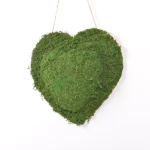 Cuore in muschio stabilizzato decorazione sospesa ornamento murale piante verdi festa nozze