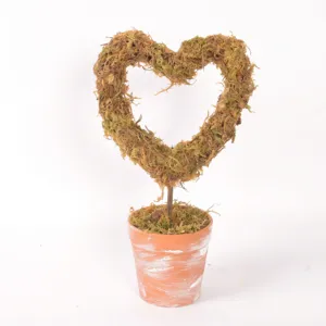 Heart-shaped moss potted plant retro distressed pot desktop decoration for wedding