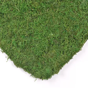Vista dettaglio di muschio stabilizzato a cuore, ideale per matrimonio e San Valentino.
