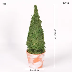 Mini albero di Natale in muschio bonsai vista dettaglio, muschio stabilizzato in vaso terracotta