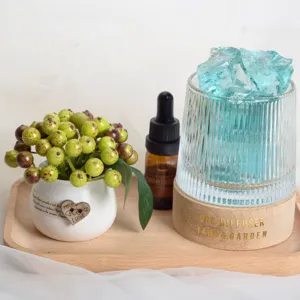 Detailed shot of the crystal essential oil diffuser set with green plant decor on wooden tray.