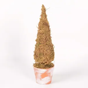Primo piano dettaglio di un mini albero di Natale in muschio conservato in vaso di terracotta.