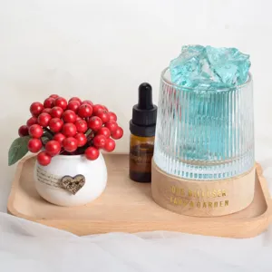 Crystal Stone Aroma Diffuser with Essential Oil and Red Berry Potted Plant for Home Decor