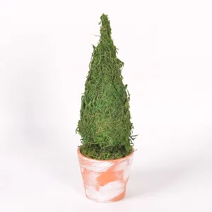 Primo piano dettagliato del mini albero di Natale in muschio nel vaso di terracotta.