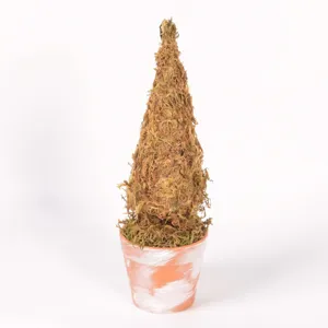 Mini albero di Natale in muschio decorazione in vaso di terracotta retro per scrivania.