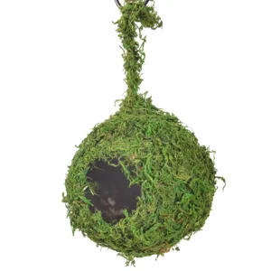 Detail view of a natural moss hanging bird nest, perfect for garden decoration and bird habitat.