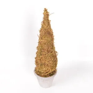 Mini albero di natale muschio bonsai vintage decorazione tavola pianta muschio secco
