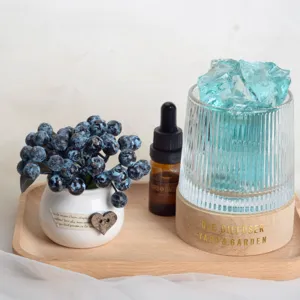Crystal stone aroma diffuser set with glass cup wooden base essential oil bottle and plant.