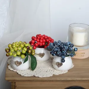 Mini artificial berry potted plant set, fake fruit desk decor home office decoration.