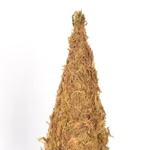 Primo piano dettaglio del mini albero di Natale in muschio che mostra una texture naturale.