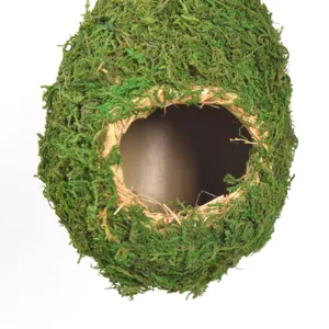 Close-up detail of hanging moss bird nest, natural green moss sphere for garden decor.