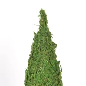 Vista ravvicinata e dettagliata del mini albero di Natale in muschio verde per feste.