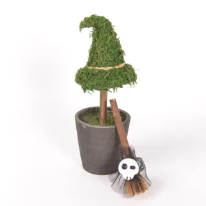 Detaillierte Nahaufnahme von Halloween Moos Hexenhut Topfpflanze mit Mini Besen.