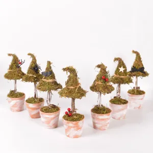 Vista dettagliata di piante in vaso con cappello da strega in muschio per Halloween, decoro.