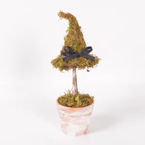 Dettaglio pianta in vaso cappello strega muschio, decorazione da scrivania vintage.