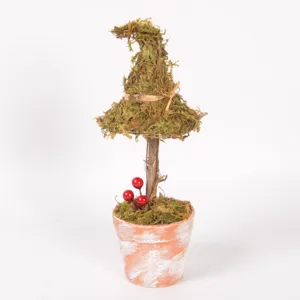 Pianta in vaso di muschio cappello da strega di Halloween decorazione tavola rustica