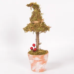 Pianta in vaso di muschio con cappello da strega di Halloween decorazione da scrivania dettaglio