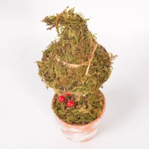 Pianta in vaso di muschio con cappello da strega di Halloween decorazione da tavolo