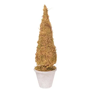 Mini albero di natale muschio bonsai decorazione tavola retro pianta verde festa